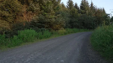 Gravel road Stock Footage 341156359