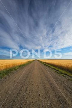 A Gravel Road That Heads Through Canadas Prairies In Rural Saskatchewan Stock Photos