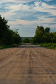 Gravel, rustic exit road. Dense shrubbery on both sides of the gravel road Stock Photos
