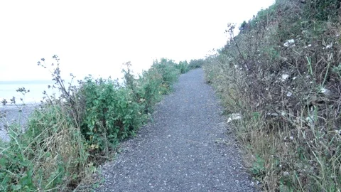 Gravelly Path Video stock 93166672