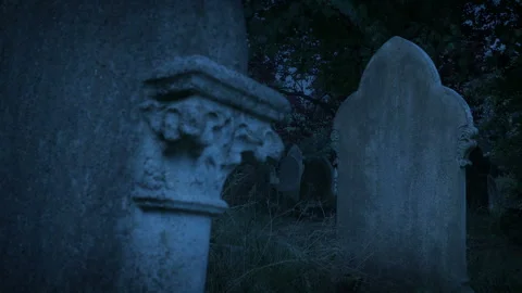 Graves In The Cemetery At Dusk Stock Footage 197029217