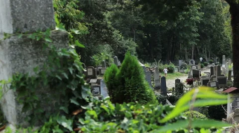 Graves in Cemetery View Stock Footage 46114783