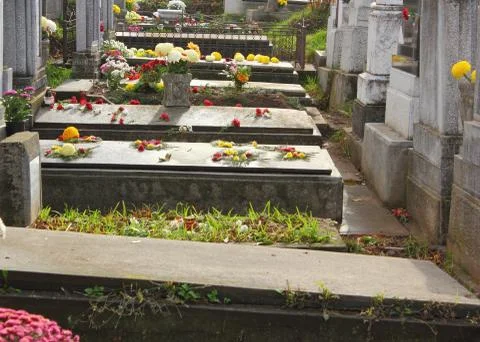 Graves with flowers 库存照片