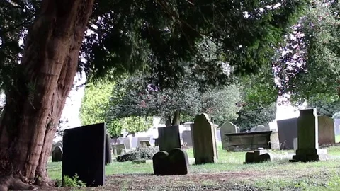 Graves in graveyard under the trees Stock Footage 82896413