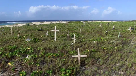 Graves by the Sea Stock Footage 25651771
