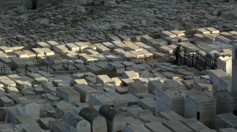 Graves_002 Video stock 515718