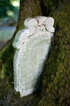 Gravestone overtaken by tree Stock Photos