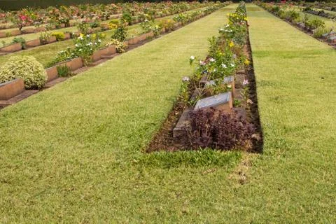 Gravestone Stock Photos