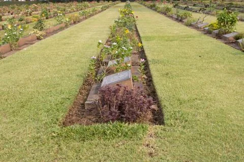 Gravestone Stock Photos