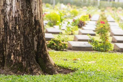 Gravestone Stock Photos