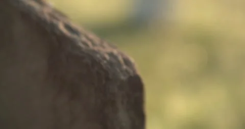 Gravestone at sunrise Stock Footage 170185472