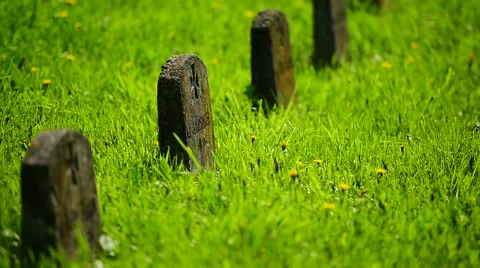 Gravestone of a unknown soldier Video stock 63778614