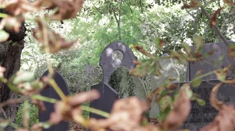 Gravestones &amp; Leaves Pull Focus in Old Church Yard 스톡 동영상 42508822