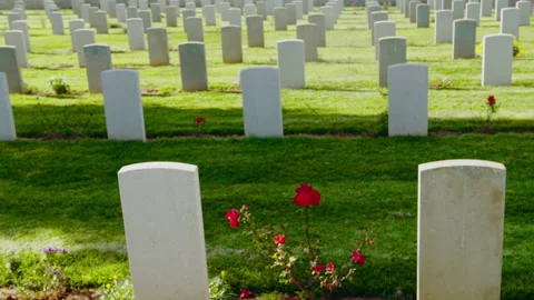 Gravestones in rows in a cemetery Stock Footage 274692983