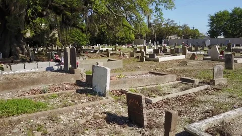 Graveyard and trees with Spanish moss Video stock 85276037