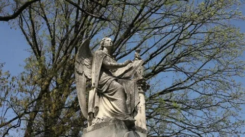Graveyard angel Stock Footage 682751