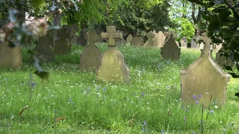 Graveyard with Bluebells in Spring in Ormskirk  Lancashire UK  May 9th 2026 Видео 334581110