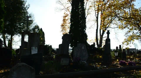 Graveyard cemetery monuments cross thuja plant bright sky Stock Footage 25484600