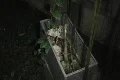 Graveyard-Cemetery at night - box with bones Video