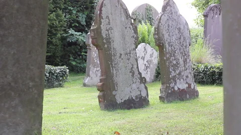 Graveyard / Cemetry Scene with many Gravestones or Tombstones - Tracking Shot Stock Footage 131841755