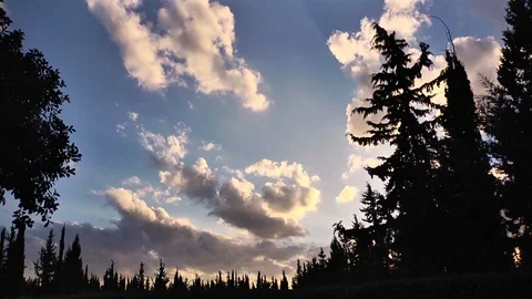 Graveyard,  clouds ,silouette trees Stockbeeldmateriaal 119684997