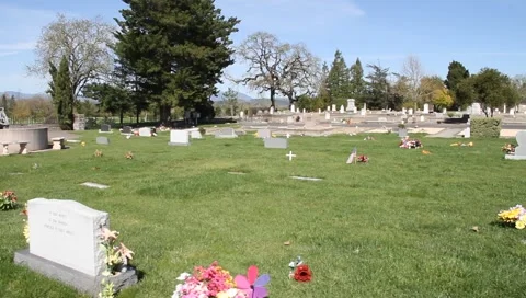 Graveyard Dolly Stock Footage 2388034