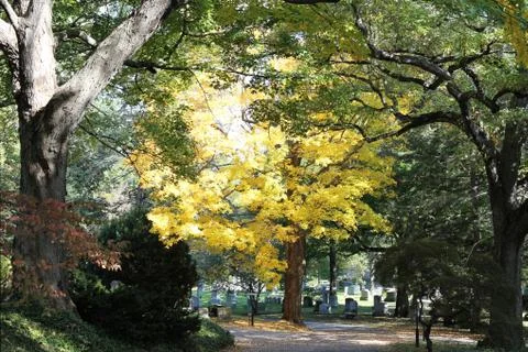 Graveyard in Fall Foto stock
