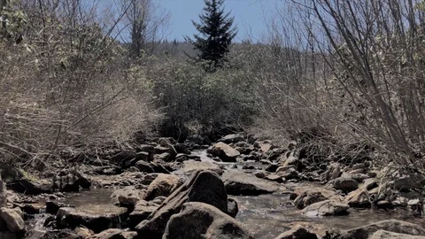 Graveyard Fields Boulder Stream 2 Stock Footage 89700654