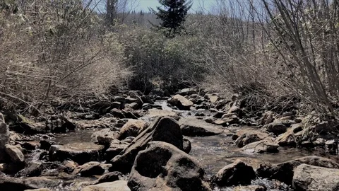Graveyard Fields Boulder Stream Stock Footage 89700653