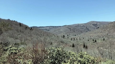 Graveyard Fields Vista Near Canton North Carolina 4K Stock Footage 89604066