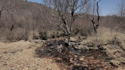 Graveyard fields Winding brook Stock Footage 89700528