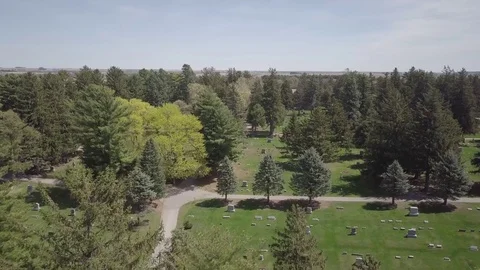 Graveyard Видео 77707965
