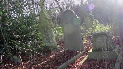 Graveyard. Stock Footage 79497960