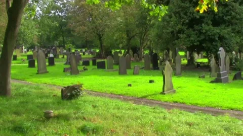 Graveyard Stock Footage 135259649