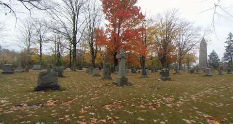 Graveyard with Gothic Tower in Autumn Vídeo Stock 43013742