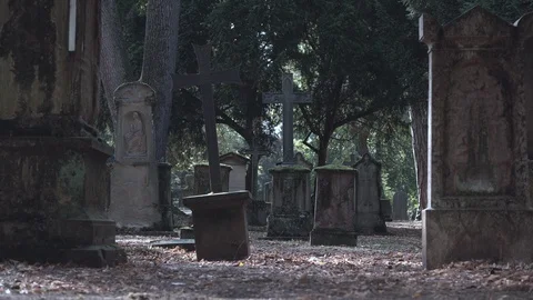 Graveyard with grave stones Video stock 100061129
