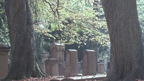 Graveyard with grave stones Stock Footage 100067677