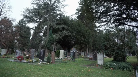 Graveyard with grave stones Video stock 100367675