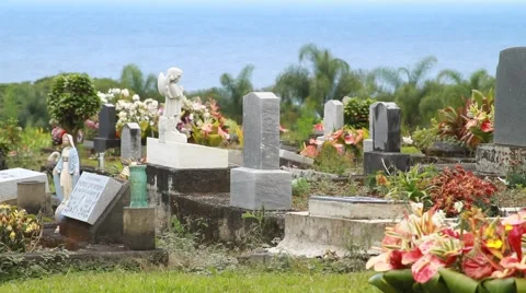 Graveyard in Hawaii Video stock 44878491