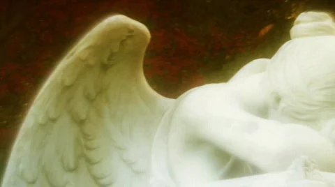 Graveyard Montage Stock Footage 688909