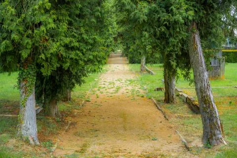 Graveyard Path Foto stock