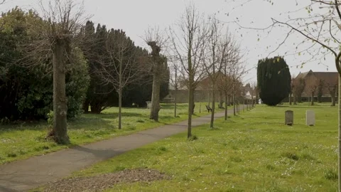 Graveyard path walk through trees spring Stock-Footage 136981372