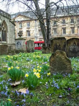 Graveyard 스톡 사진