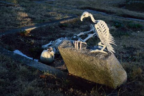 The Graveyard Foto stock