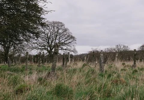 Graveyard Stock Photos