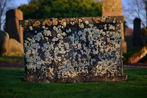 Graveyard. Stock Photos