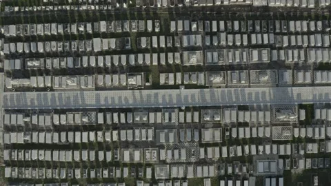 Graveyard in Pietermaai 스톡 동영상 205439286
