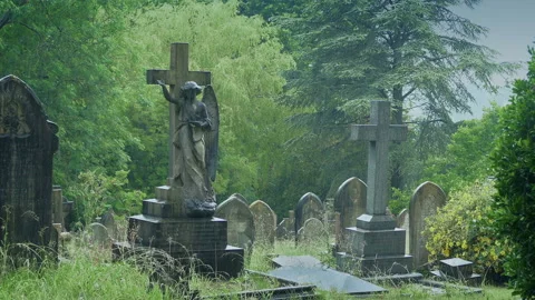 Graveyard Rain Stock Videos – Royalty-Free HD & 4K Videos | Pond5
