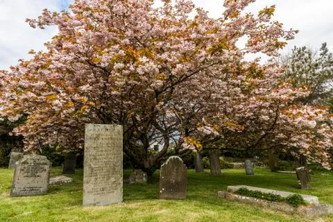Graveyard Saint Just Stock Photos