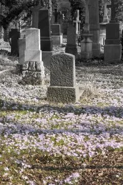 Graveyard in spring Stock Photos